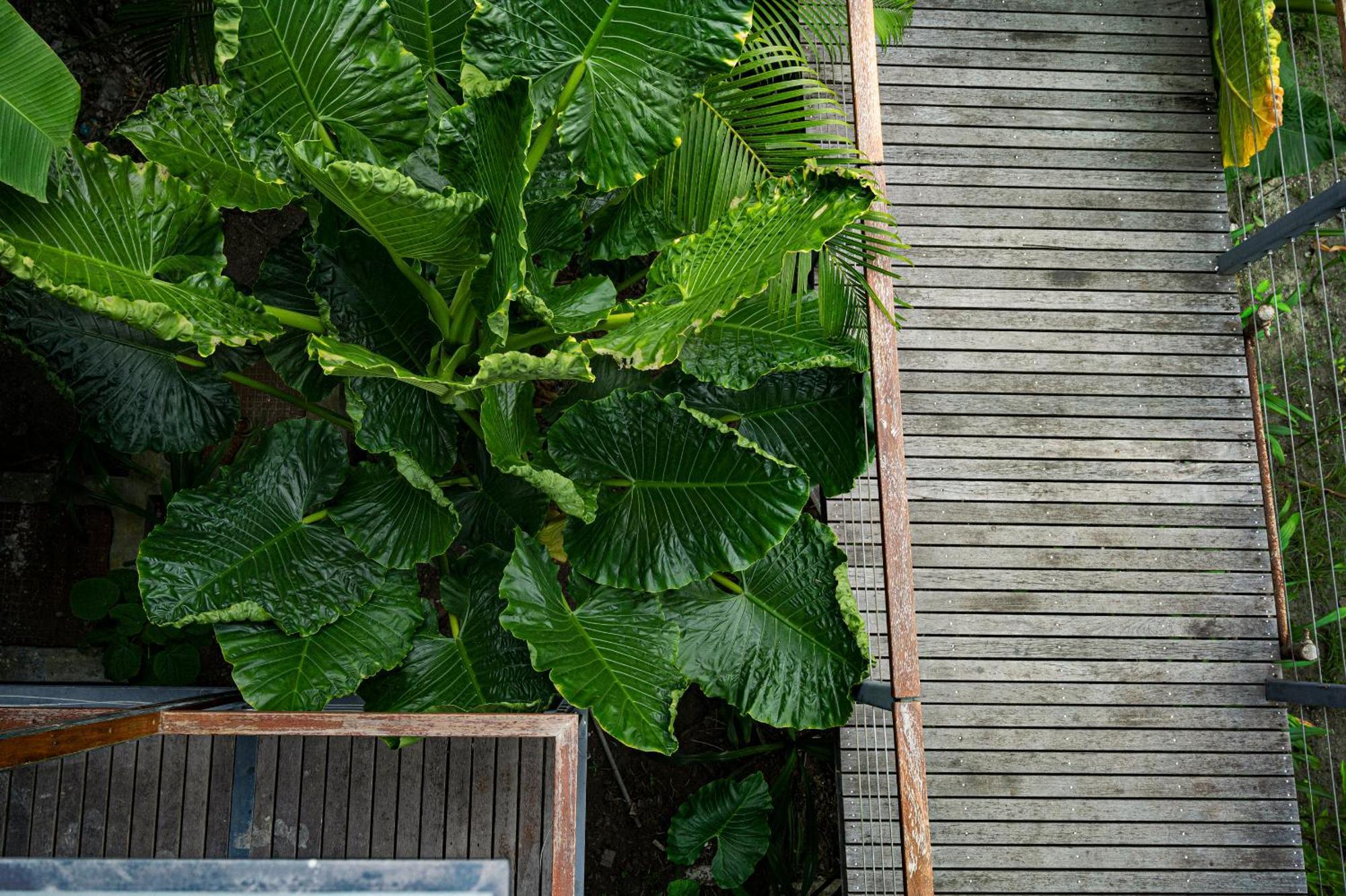 Tilar Siro Andamans - CGH Earth Govind Nagar Exterior foto